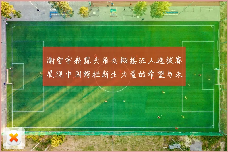 谢智宇崭露头角刘翔接班人选拔赛展现中国跨栏新生力量的希望与未来
