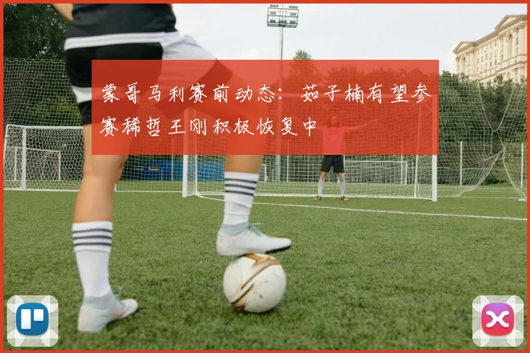 蒙哥马利赛前动态：茹子楠有望参赛稀哲王刚积极恢复中