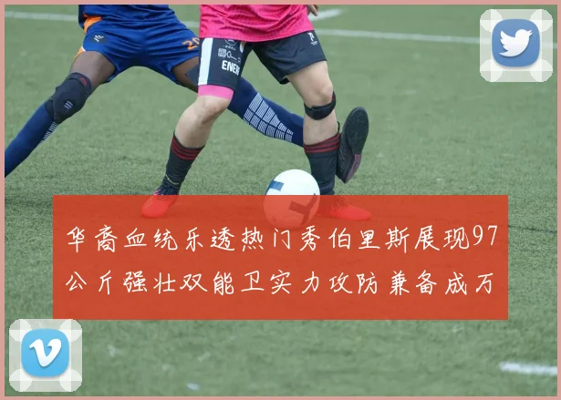 华裔血统乐透热门秀伯里斯展现97公斤强壮双能卫实力攻防兼备成万金油之选